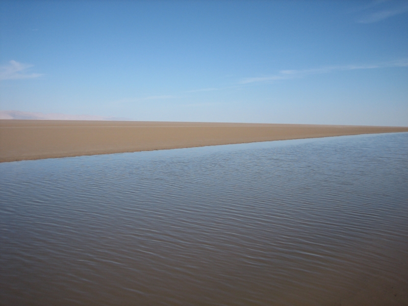 Sahara - Chott el Djerid